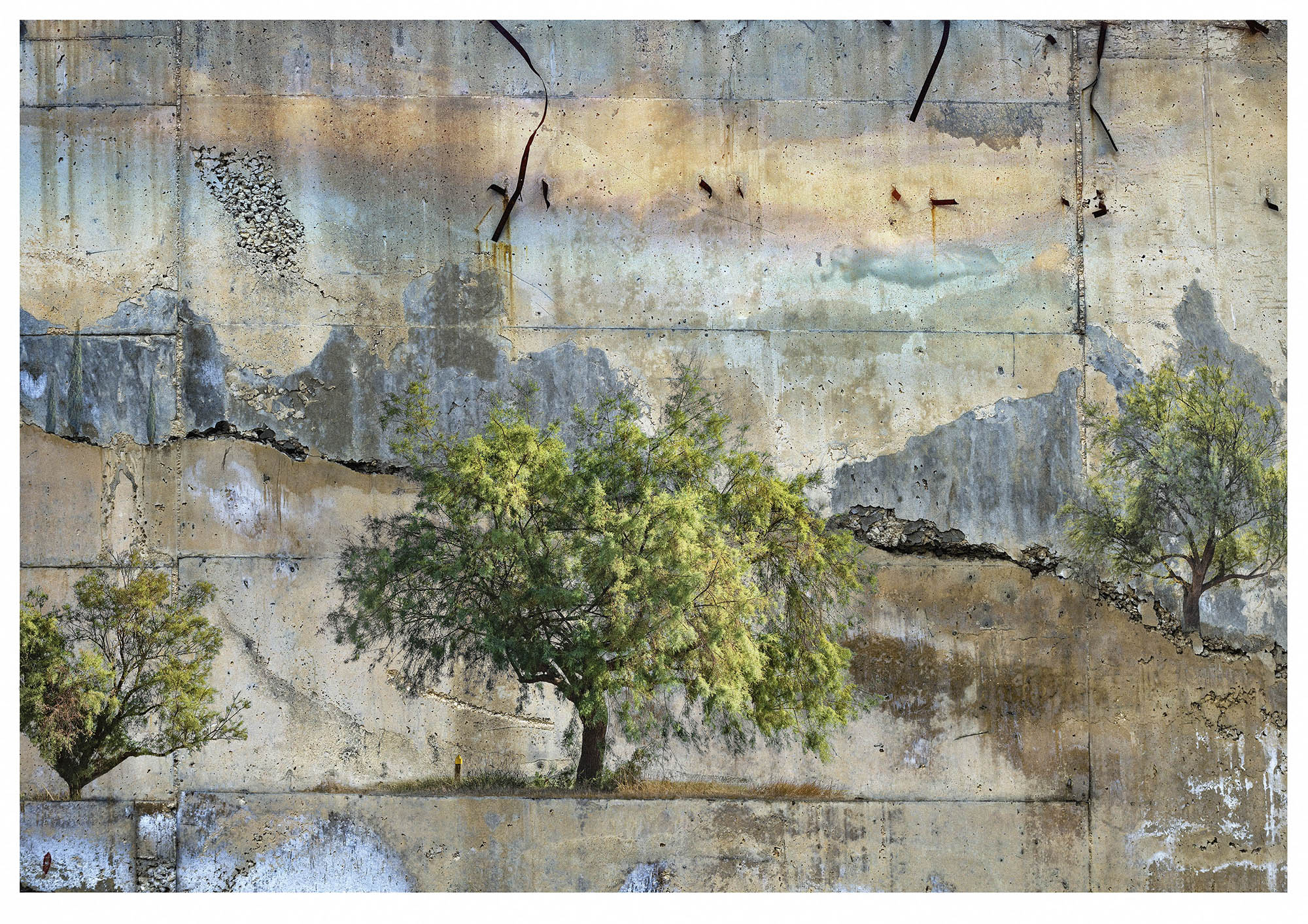 Composite photograph of distressed wall and trees looking like a landscape